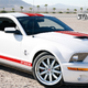 Illustration for article titled 2010 Shelby GT500 SE